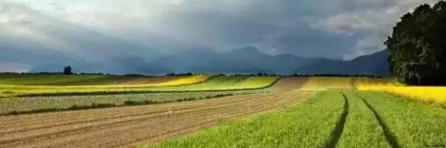 2017年農業補貼申請已經開始，這30個項目都可以拿到國家補貼